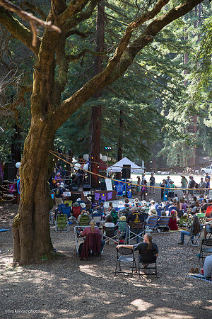 Redwood Ramble, 2015
