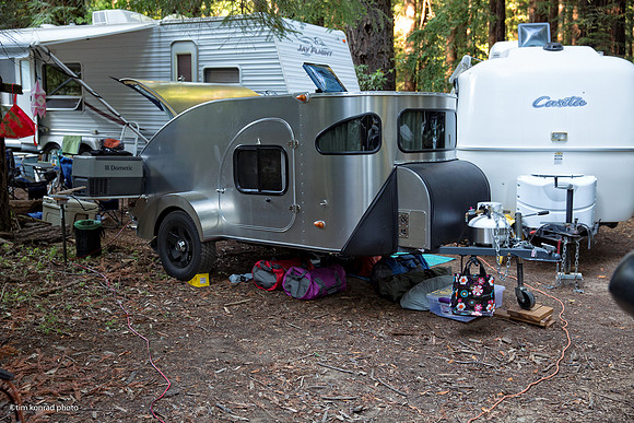Redwood Ramble, 2015