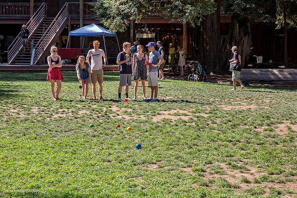 Redwood Ramble, 2015