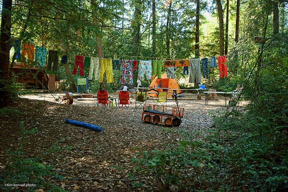 Redwood Ramble, 2015