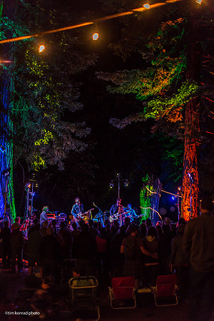Redwood Ramble, 2015