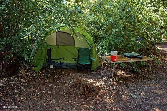 Redwood Ramble, 2015
