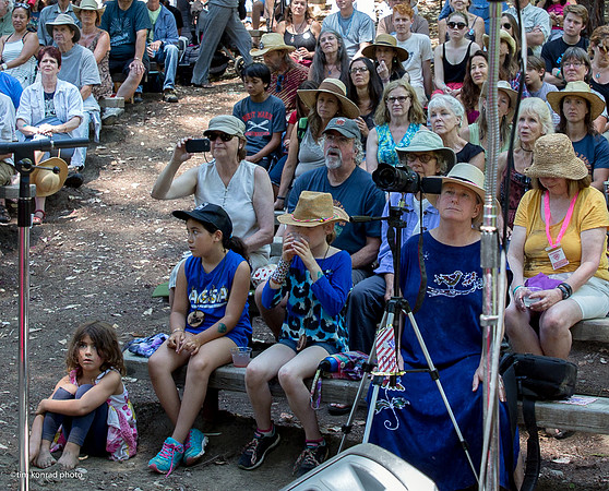 Redwood Ramble, 2015