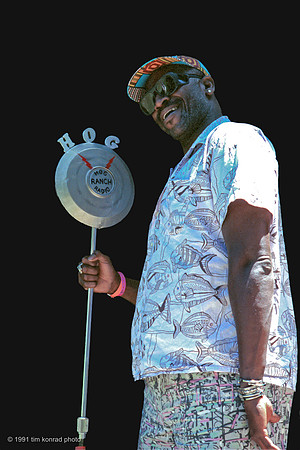 Mr. Taj Mahal, Strawberry Spring, 1991