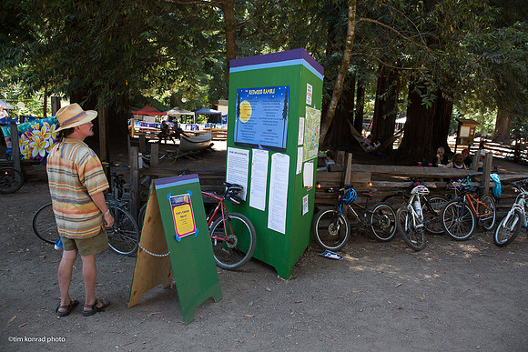 Redwood Ramble, 2015