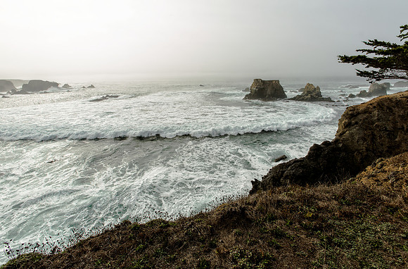 Jughandle State Preserve, Mendocino County, CA, 2015