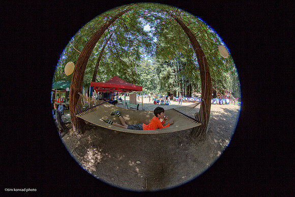 Redwood Ramble, 2015