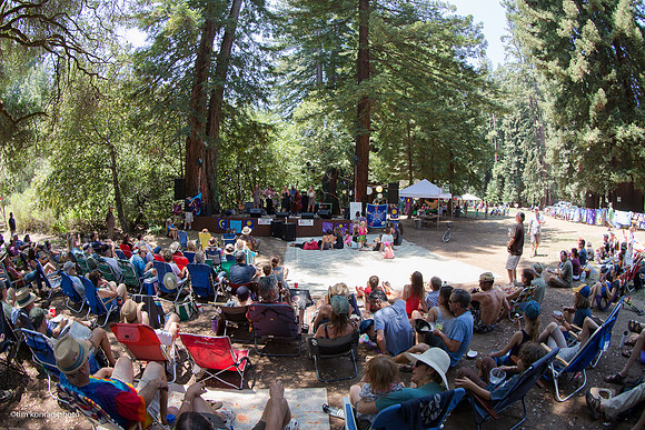 Redwood Ramble, 2015