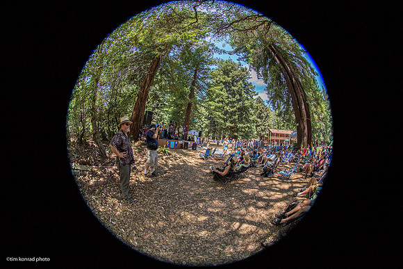 Redwood Ramble, 2015