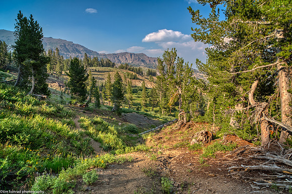 East Slope of Sonora Pass, Mono County, CA