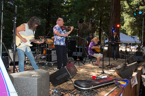 Redwood Ramble, 2015
