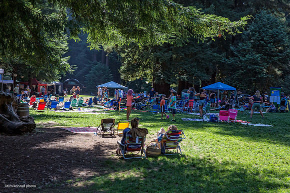 Redwood Ramble, 2015
