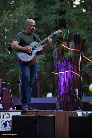 Redwood Ramble, 2015