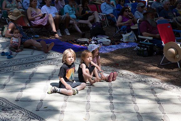Redwood Ramble, 2015