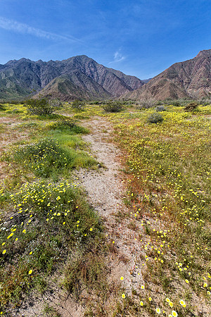 Anza Borrego Desert