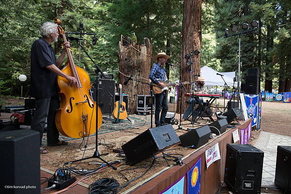 Redwood Ramble, 2015