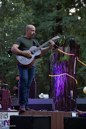 Redwood Ramble, 2015