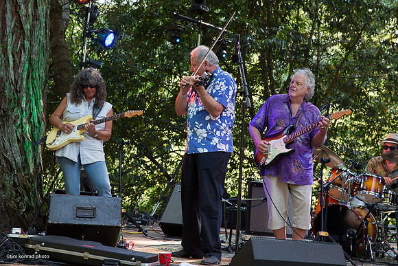 Redwood Ramble, 2015