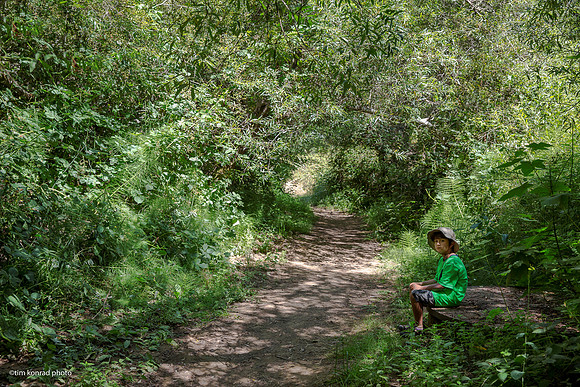 Redwood Ramble, 2015