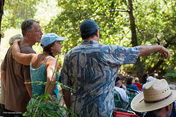 Redwood Ramble, 2015