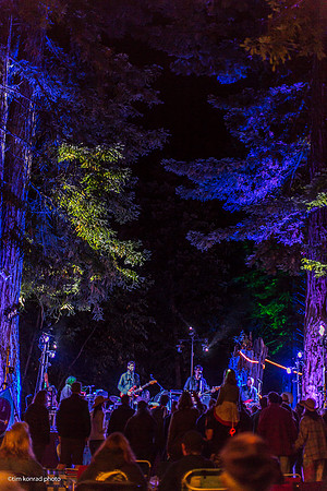 Redwood Ramble, 2015