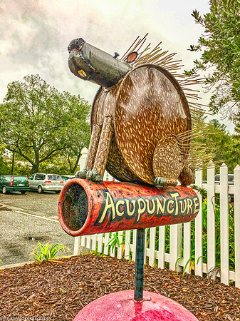 Prickly Proposition, Sebastopol, CA