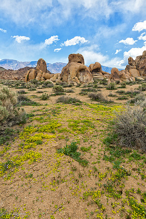 The Alabama Hills