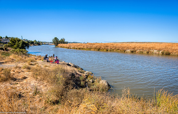 Petaluma River  October 21, 2017