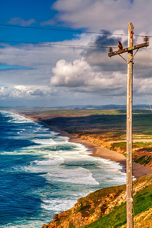 Catbird Seat, Point Reyes National Seashore