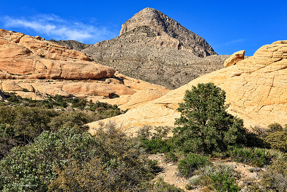 Red Rock Canyon
