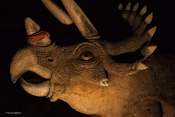 Jurassic Festival Support Animal, Kate Wolf Music Festival, 2012