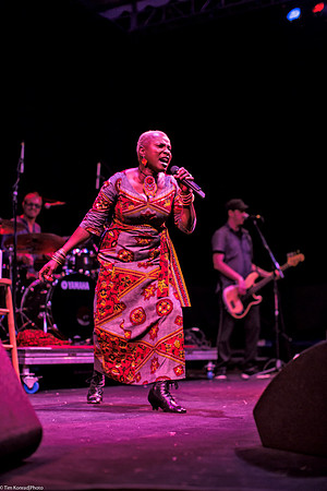Angelique Kidjo, Kate Wolf Music Festival, 2013