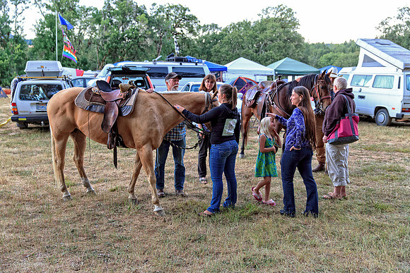 Kate Wolf Music Festival, 2014