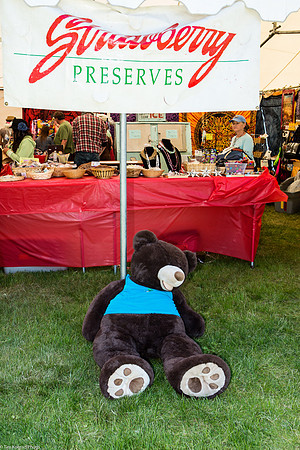 Strawberry General Store, ​Strawberry Music Festival, Spring, 2013