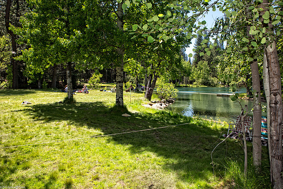 Birch Lake, Camp Mather, Strawberry Music Festival, Spring, 2013