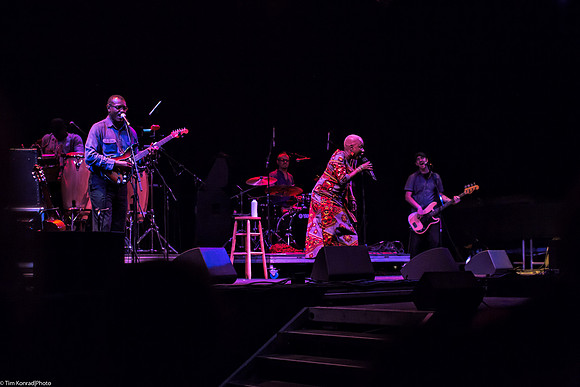 Angelique Kidjo, ​Kate Wolf Music Festival, 2013