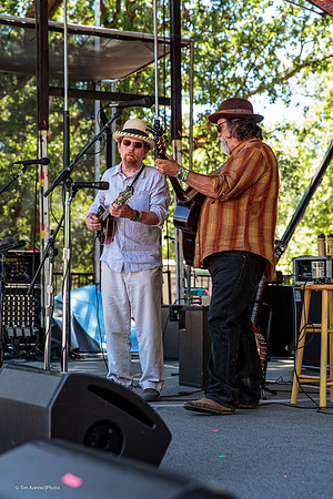 Kate Wolf Music Festival, 2014