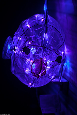 Solar Digital Fish, Camp Carltone, Strawberry Music Festival, Spring, 2013