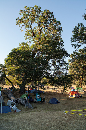 Krewe Kamp, ​Kate Wolf Music Festival, 2012 2012