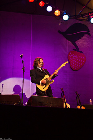 Jason Wilber, Main Stage, Strawberry Music Festival, Spring, 2013