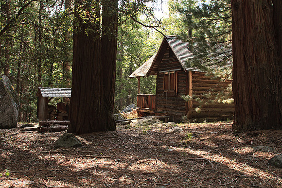 Cabin in the Woods, Strawberry Music Festival, Spring, 2007