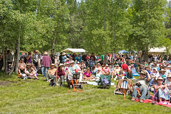 Audience at birch meadow stage, Strawberry Music Festival, Spring, 2013