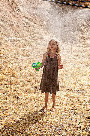 Mist, ​Kate Wolf Music Festival, 2012