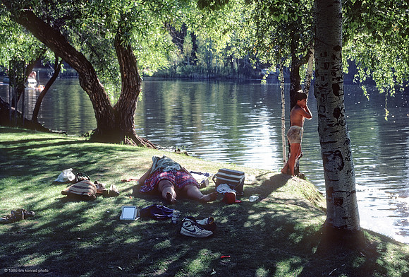 Birch Lake Afternoon, ​Strawberry Music Festival, Spring, 1986