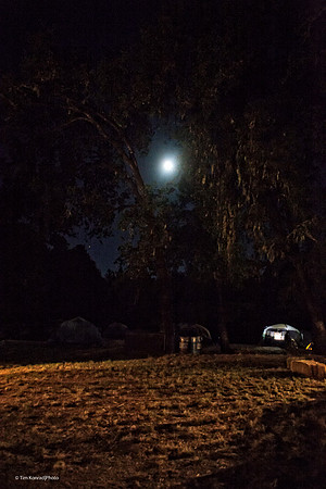 Kate Wolf by Moonlight, ​Kate Wolf Music Festival, 2012