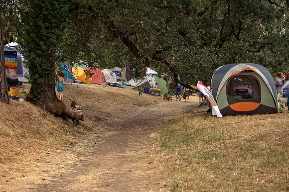 The Discovery of Poison Oak, ​Kate Wolf Music Festival, 2012