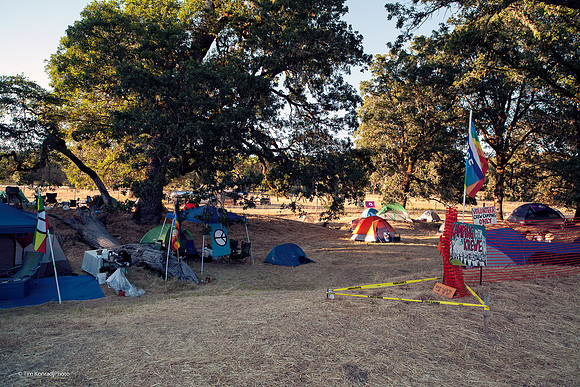 Krewe Kamp, ​Kate Wolf Music Festival, 2012 2012