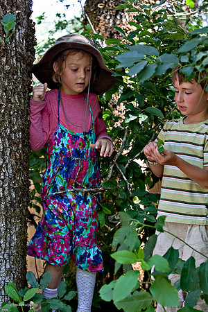 Kate Wolf Music Festival, 2009