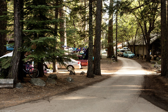 Rock in the Road, Camp Mather, ​Strawberry Music Festival, Spring, 2013