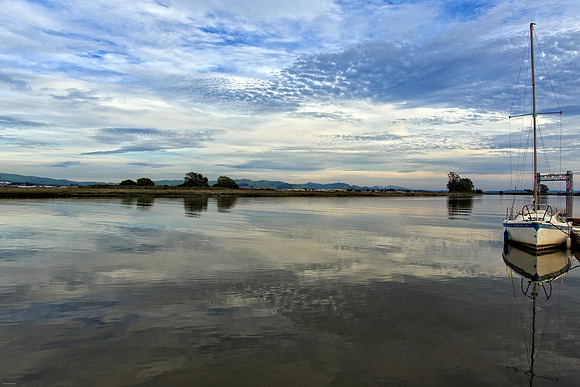 Napa River Looking South, Napa County, CA, 2015
